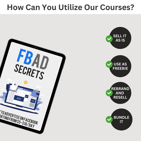 Online Wealth Academy: 100-Course Money-Making Collection with PLR & MRR